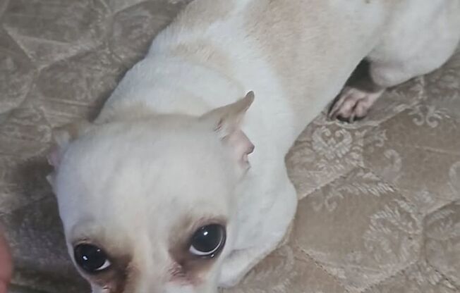 2 beds, 1 bath, 902 sqft, $1,450, Unit 67