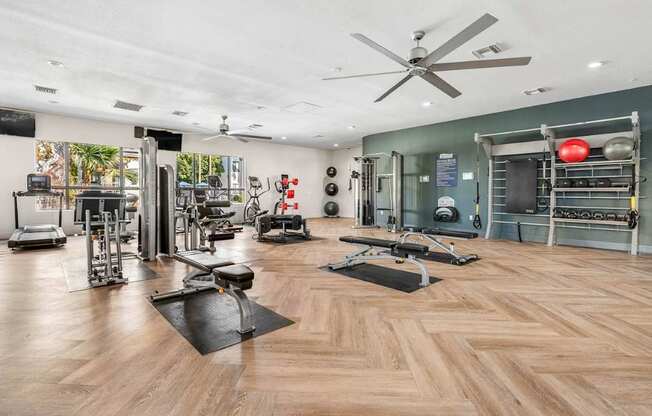 Renovated Apartments Available!