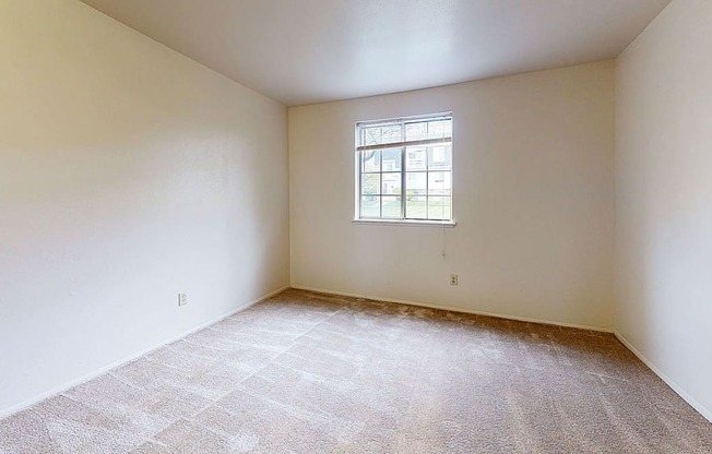 spacious bedroom with plush carpeting