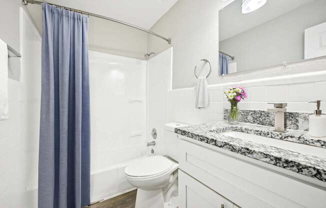 Modern bathroom with tub and shower in affordable Amber Grove apartment in Marietta GA