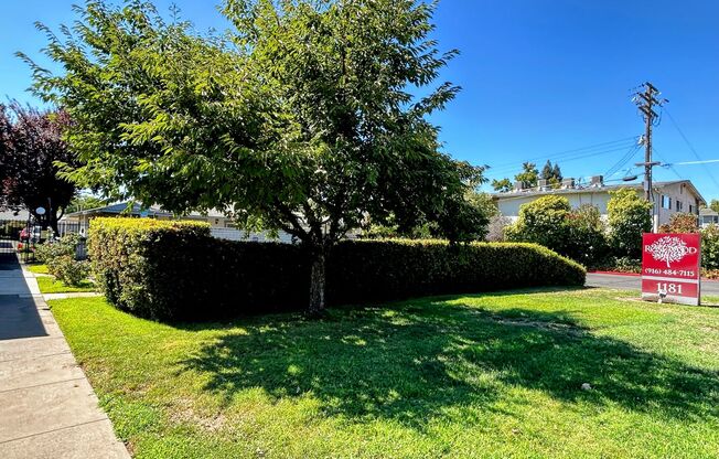 1 bed, 1 bath, 700 sqft, $1,425, Unit 50