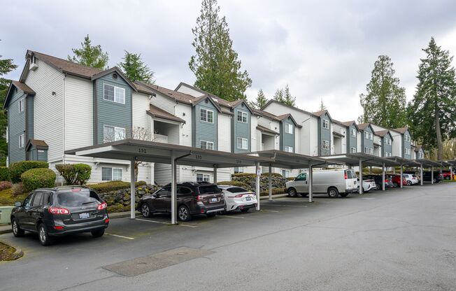 1 bed, 1 bath, 800 sqft, $1,535, Unit 1215