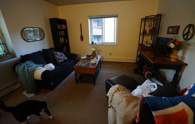 1 bed, 1 bath, $1,090, Unit 2E