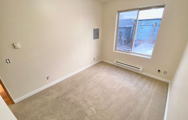 1 bed, 1 bath, 510 sqft, $1,975, Unit 303