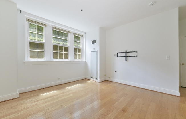 1 bed, 1 bath, 494 sqft, $2,700, Unit 103