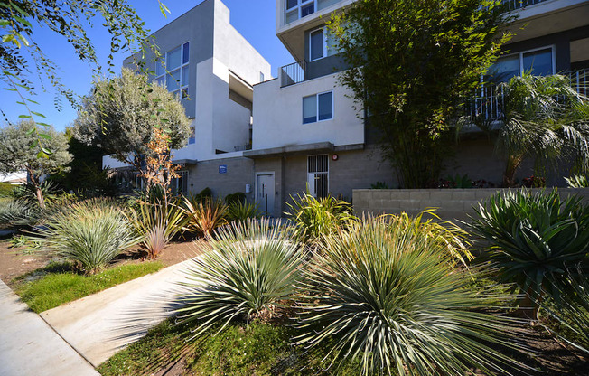 Mar Vista Lofts - Lush Landscaping