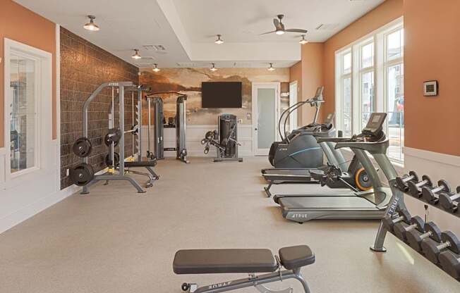 A well-equipped gym with a variety of exercise machines and weights.