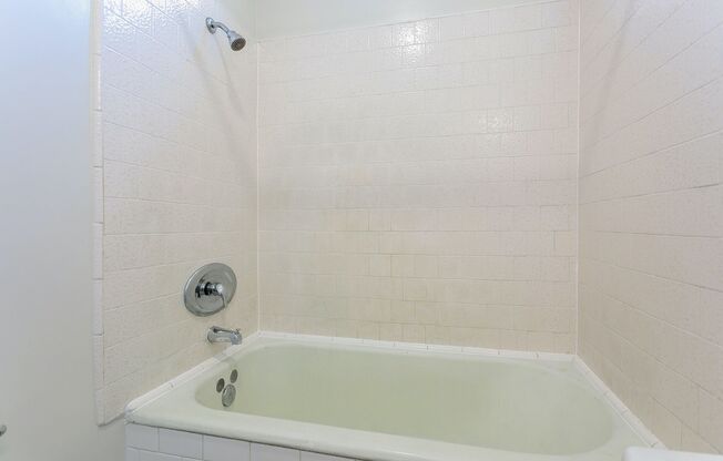 Studio, 1 bath, $1,595, Unit 08