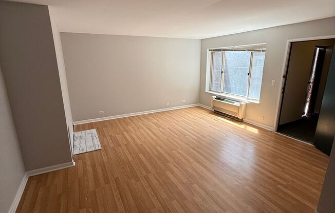 Studio, 1 bath, $1,300, Unit 209