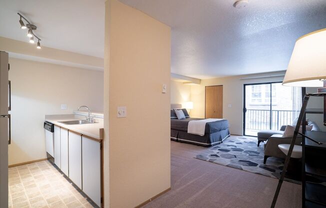 Studio, 1 bath, 504 sqft, $1,595, Unit 111