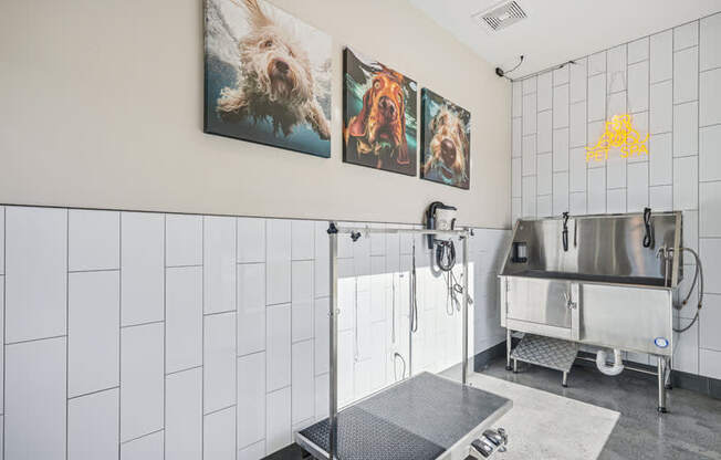 A bathroom with a shower and a sink.