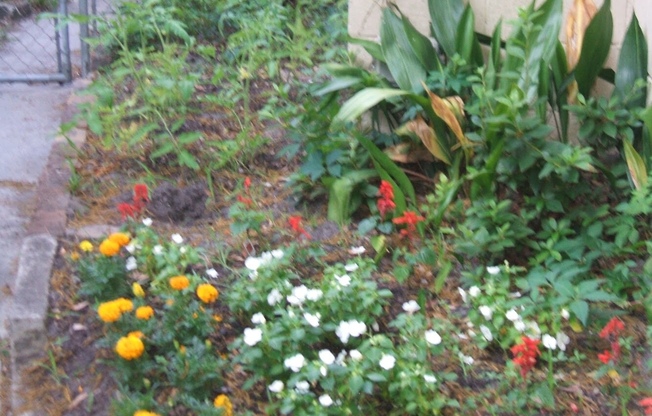 4 Bedroom house---walk to Forsyth in 15 minutes