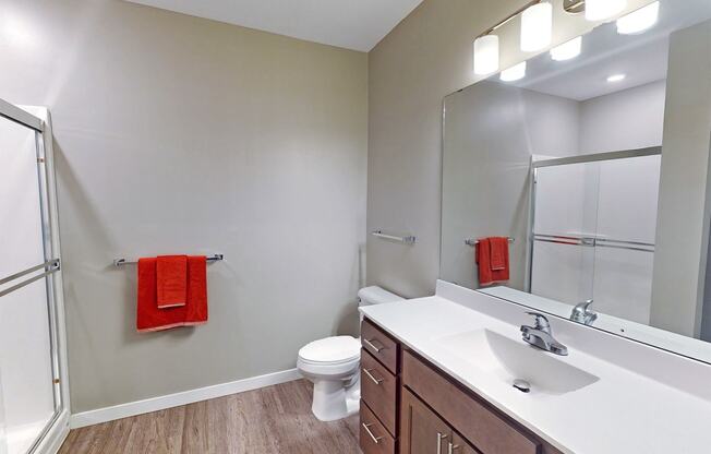 a bathroom with a mirror and a sink and a toilet