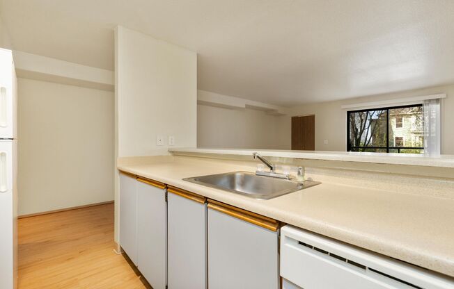 Studio, 1 bath, 504 sqft, $1,495, Unit 115