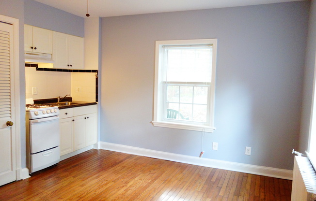 Studio, 1 bath, 350 sqft, $1,225, Unit 1