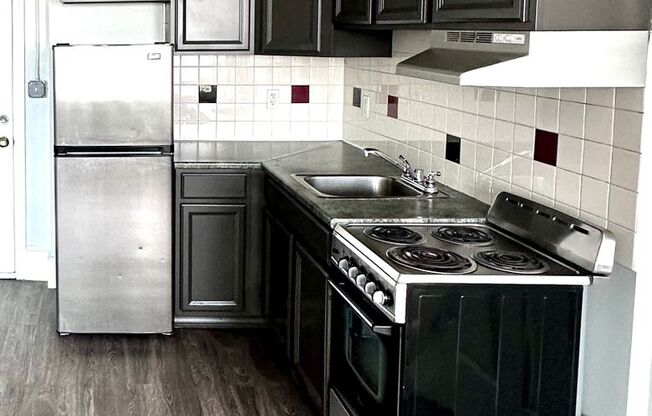 1 bed, 1 bath, 435 sqft, $1,595, Unit 1019