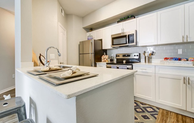 Stainless Steel Sink With Faucet In Kitchen at Tuscany Bay Apartments, Tampa, 33626