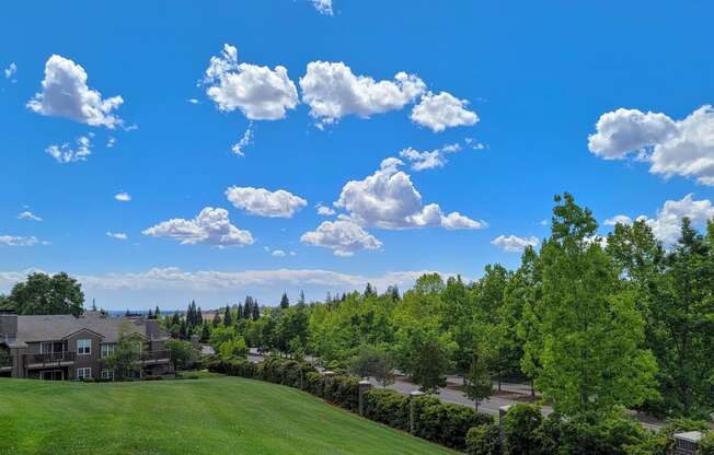 View overlooking Lake Forest