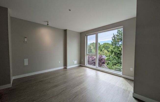 Studio, 1 bath, 412 sqft, $1,295, Unit 410