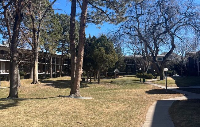 3 beds, 2 baths, $2,225, Unit APARTMENT 313
