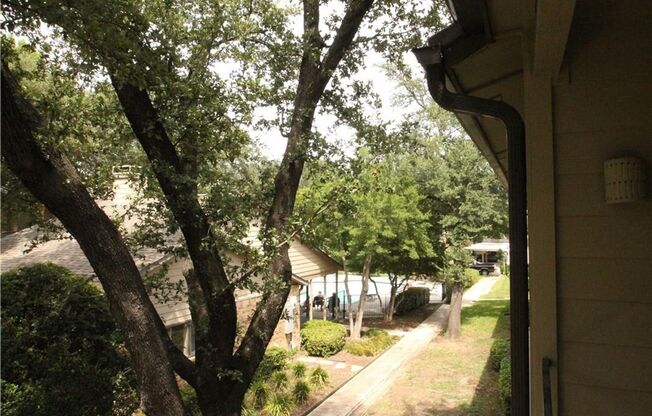 1 bed, 1 bath, $1,350, Unit #2054
