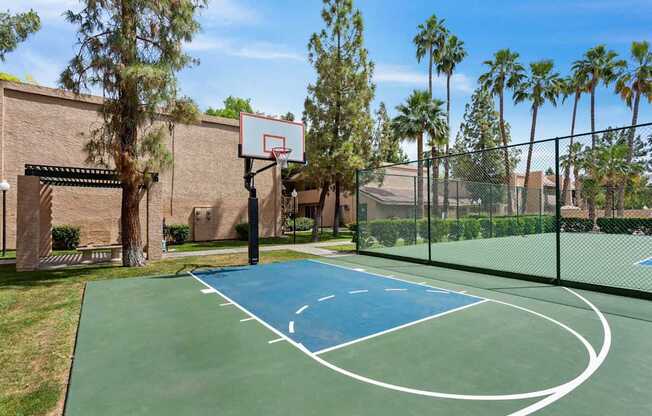 A basketball court with a blue surface and white lines is surrounded by a fence and palm trees.