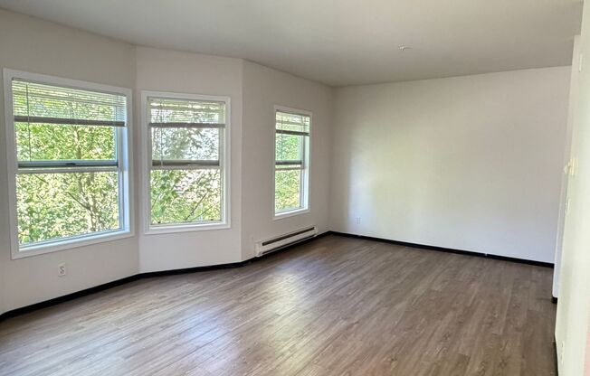 1 bed, 1 bath, 500 sqft, $1,495, Unit 0709-213