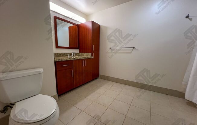 1 bed, 1 bath, $2,700, Unit APARTMENT # 806