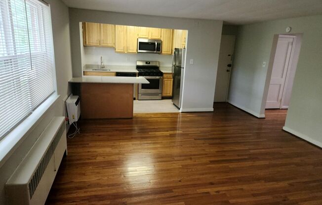 1 bed, 1 bath, 663 sqft, $1,750, Unit D-13