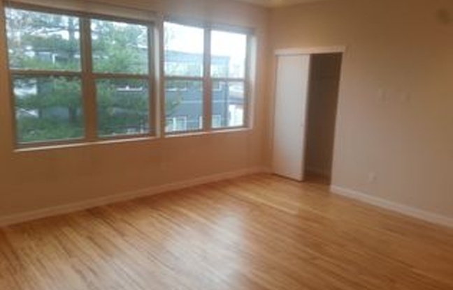 1 bed, 1.5 baths, $1,500, Unit # 9