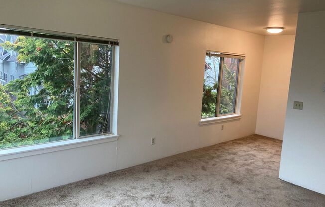 1 bed, 1 bath, 575 sqft, $1,425, Unit 302