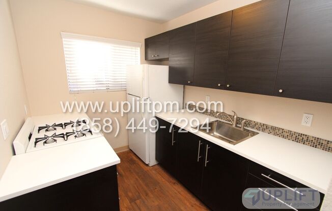 Studio, 1 bath, 230 sqft, $1,795, Unit Unit 01