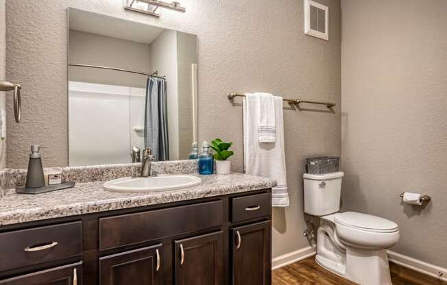 A bathroom with toilet, sink, and mirror at the Flats at Sundown in North Port, Florida