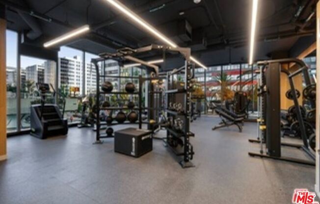 1 bed, 1 bath, 785 sqft, $3,267, Unit 309