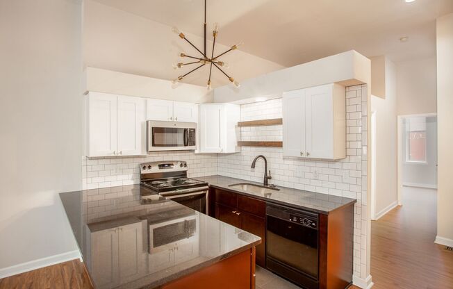 Fenced in backyard, in the heart of historic Soulard.