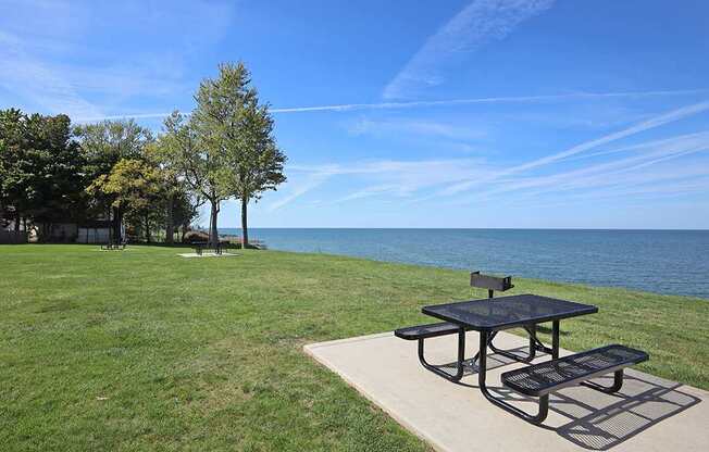 Picnic Area with Tables and Charcoal Grills in Water's Edge Apartments in Euclid OH