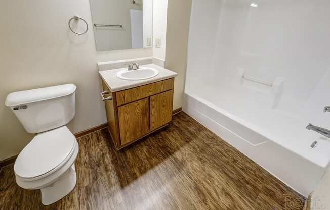 a bathroom with a toilet and a sink and a bath tub