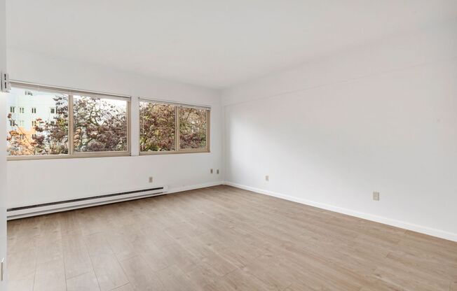 1 bed, 1 bath, 607 sqft, $1,850, Unit 801