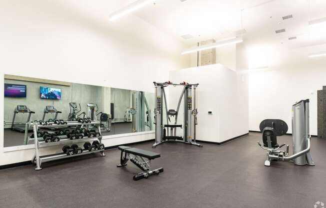 the gym is equipped with weights and cardio equipment