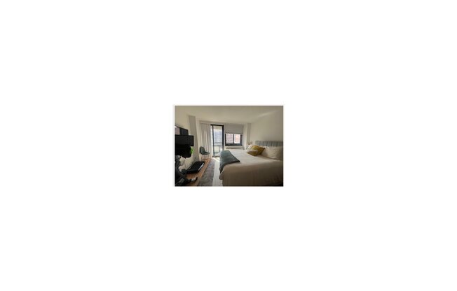 1 bed, 1 bath, 500 sqft, $3,900, Unit 17E