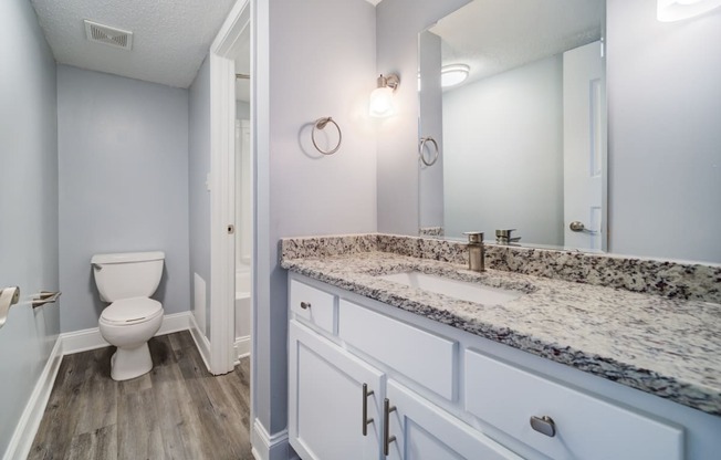 The Trails of North Hills apartments in Raleigh, NC photo of upgraded bathroom