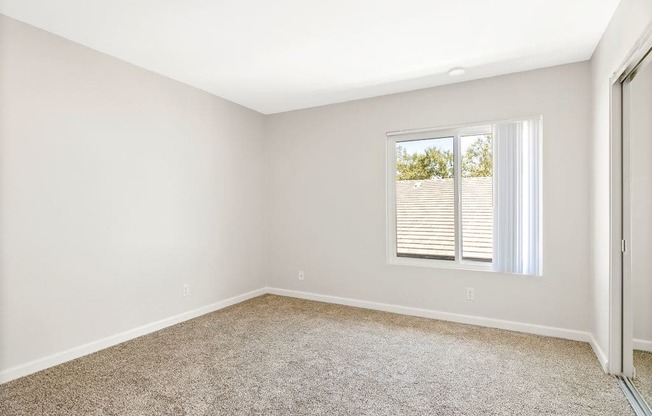 One-bedroom Apartment Bedroom with Carpeted Floors