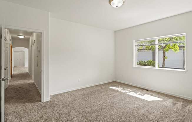 a bedroom with a carpeted floor and a large window