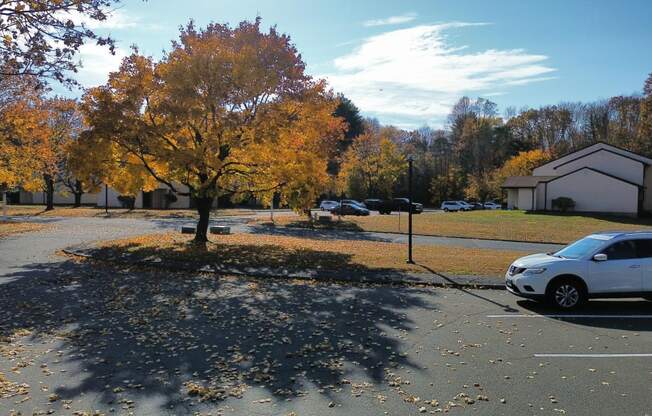 Arial view of Canal Place