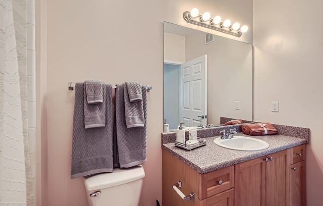 a bathroom with a sink and a toilet and a mirror