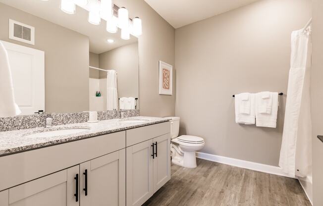 a bathroom with a toilet and a sink and a mirror