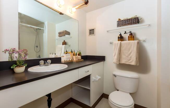 a bathroom with a sink and a toilet and a mirror