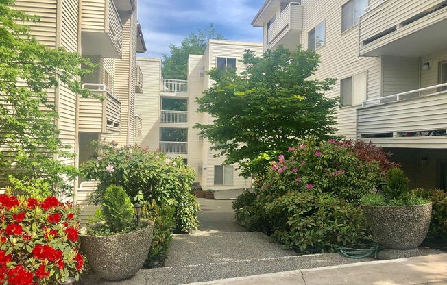 1 bed, 1 bath, 660 sqft, $1,695, Unit 410B