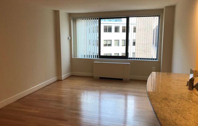Studio, 1 bath, 460 sqft, $2,200