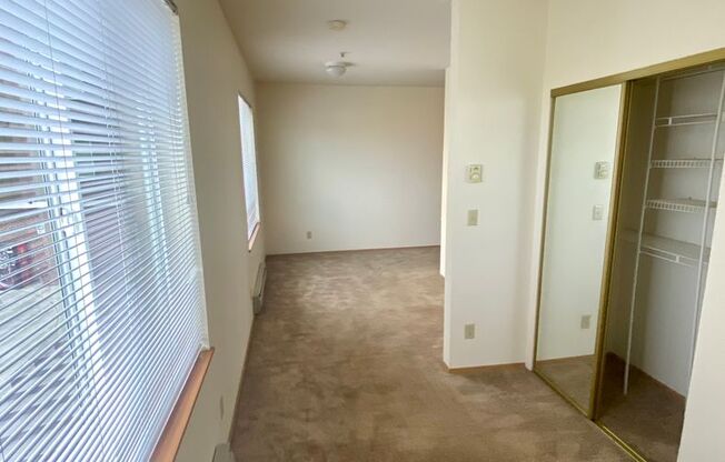 Studio, 1 bath, 462 sqft, $1,295, Unit 225